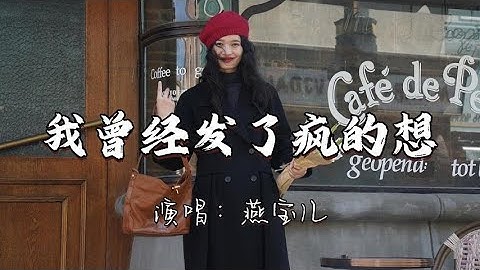燕宝儿 - 我曾经发了疯的想『我曾经发了疯的想想想不过梦一场 密密麻麻都是你给我的伤。』『动态歌词MV』