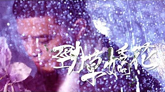黄耀明 Anthony Wong - 劲草娇花 MV [Official] [官方]