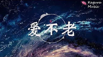 《爱不老》 罗震环 『你听 时光溜走 静静悄悄 偷换了容貌』 高音质