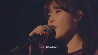 [中字] EPIK HIGH & IU - 恋爱小说 LOVE STORY (연애소설) LIVE @ WDSW Concert
