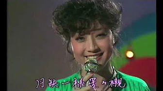 徐小凤  Paula Tsui 1978 欢乐今宵 台庆之夜 表演部分