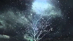 White Dimension 何沛澄 - 没有音乐的天气 From Winter to Spring (radio edit)