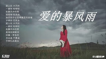 爱的暴风雨  -  梦涵  |  铃声【DJ粤语版】