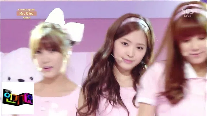 [에이핑크(Apink)] - Mr. Chu @인기가요 Inkigayo 140406