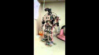 Bipedal walking robot: attitude control & voice recognition