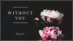◆在没你的世界裡学会爱情 ❘ Avicii - Without you 中文字幕 ft Sandro Cavazza