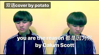 【Cover#7】you are the reason 都是因为你 (Calum Scott) 英文&中文 cover by Potato曾俊业