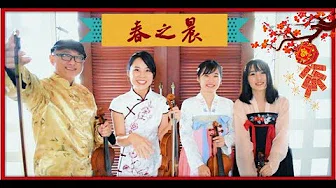 2019 经典新年歌【春之晨】+ 小提琴合奏- HAPPY CHINESE NEW YEAR 2019 | ZyStory