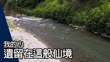 我的心 遺留在這般仙境｜鮎釣VLOG #03 [4K]