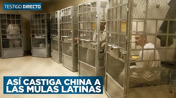 Cadena perpetua y pena de muerte: así castiga China en su país a mulas latinas - Testigo Directo