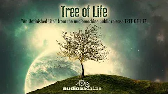 Audiomachine - An Unfinished Life