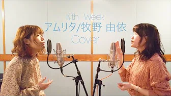 【14th WEEK】アムリタ-Amrita- / 牧野由依 (Cover)