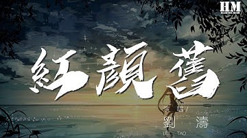 刘涛 - 红颜旧『唯不变此情悠悠 忍别离』【動態歌詞Lyrics】