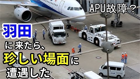 羽田空港で遭遇した珍しいシーン。