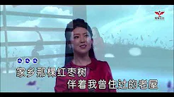 任妙音 - 红枣树（高清1080P）KTV现场版