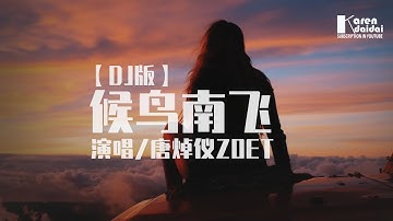 唐焯仪ZOET - 候鸟南飞【DJ版】 ♪ KarenDaidai