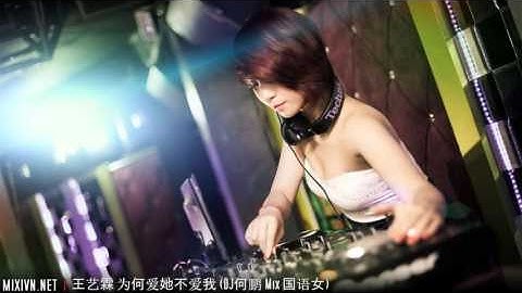 王艺霖 为何爱她不爱我 (DJ何鹏 Mix 国语女).mp4