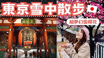 2024東京大雪散步｜雪櫻花太夢幻了