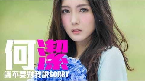 [JOY RICH] [新歌] 何洁 - 请不要对我说Sorry