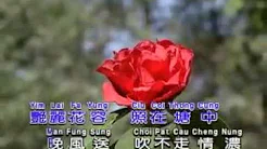 月圆花好 粤语版 （原唱：陈松伶）1989年