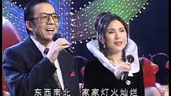 1995年央视春节联欢晚会 歌曲《今夜难眠》 杨洪基|林萍| CCTV春晚