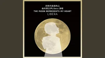 The Moon Represents My Heart - 月亮代表我的心