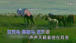 张娜【马兰花】原版 MV