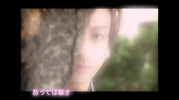 【薄桜记MV】桜の树の下 山本耕史