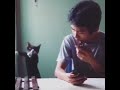 手机铃声排行榜．行动达铃．手机铃声．搞笑闹铃