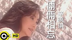 辛晓琪 Winnie Hsin【俩俩相忘 Try to forget】台视「倚天屠龙记」插曲 Official Music Video