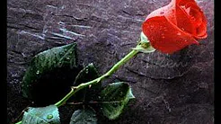 LeAnn Rimes - Some Say Love/The Rose