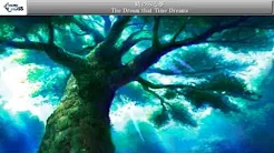 时のみる梦 The Dream that Time Dreams 【Chrono Cross クロノクロス】