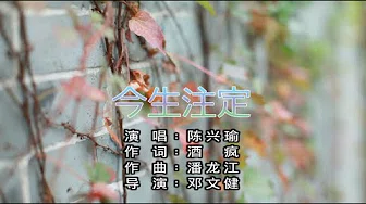 陈兴瑜 - 今生注定（高清720P）KTV原版