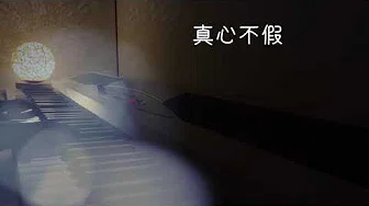 Popular钢琴弹唱『真心不假』原唱：赵薇