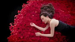 松田圣子 - 「蔷薇のように咲いて 桜のように散って」ミュージックビデオ(Short Ver.)
