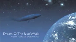 【灵魂男声】蓝鲸之梦Dream of the blue whale