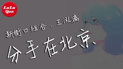 新街口组合《分手在北京》feat.王泓漓 - 你给过我幸福，现在想想却模糊【抖音热门 - 动态歌词版】