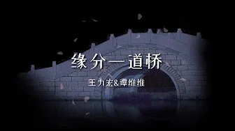 缘分一道桥x1.1 - 王力宏&谭维维（简体歌词）