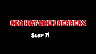 Red Hot Chili Peppers - Scar Tissue - Lyrics & 日本语字幕