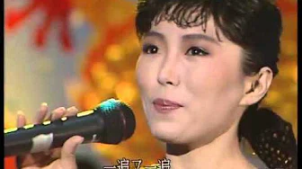 1988年央视春节联欢晚会 女声独唱《思念到永远》 程琳| CCTV春晚