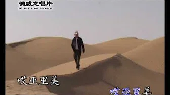 刀郎 哪里来的骆驼队MTV 国语 流行歌曲