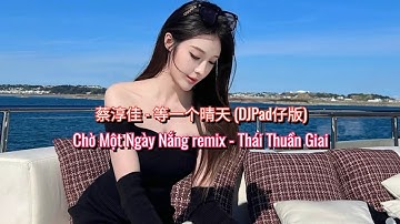 蔡淳佳 - 等一个晴天 (DJPad仔版) | Chờ Một Ngày Nắng remix - Thái Thuần Giai
