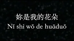 伍佰／Wu Bai【妳是我的花朵】You are my flower (KTV with Pinyin + Quick Check)