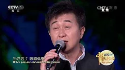 [2016中央电视台中秋晚会]歌曲《当你老了》 演唱：付笛声 任静  | CCTV春晚