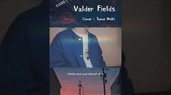 叁块木头 - Valder Fields