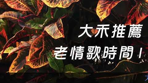 杨克强  无助的心(特版)     封面字幕版