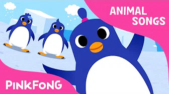 The Penguin Dance | Animal Songs | PINKFONG Songs for Children