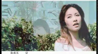 5566 - 白色花漾 MV [HQ]