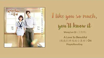 A Love So Beautiful OST 致我们单纯的小美好 OST - I Like So Much, You