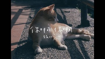 魏如萱 waa wei [ 你啊你啊 ] 官方完整试听版MV